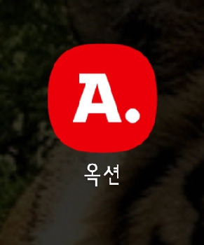 옥션 비회원 배송 조회 주문 비밀번호 찾기까지 간단하게 확인하는 방법의 표지이미지