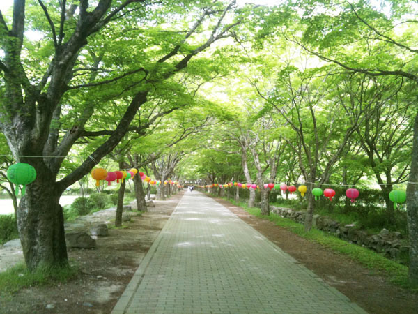 [전라도 정읍 여행] 4. 내장사