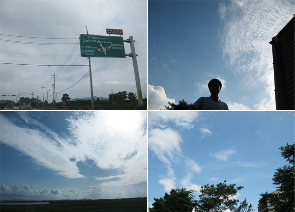 아노마트센터 - 안성 추천 여행