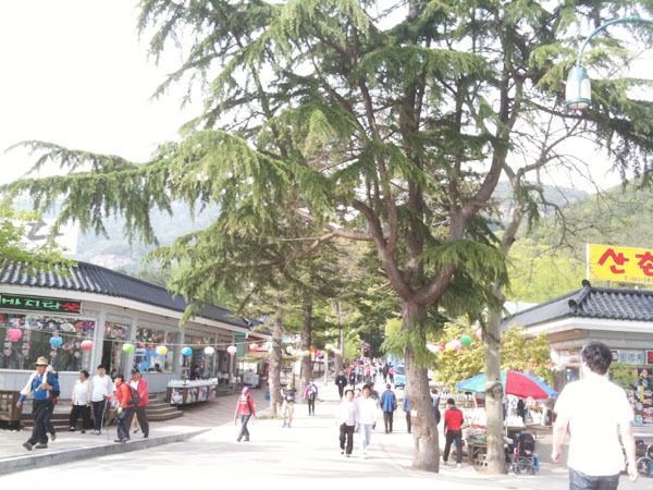 [전라도 정읍 여행] 2. 내소사