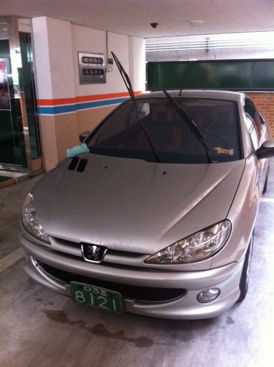푸우 이야기 003 '첫 디테일링' 푸조(PEUGEOT) 206CC, 롤랑갸로(Roland Garros) 포스트 썸네일