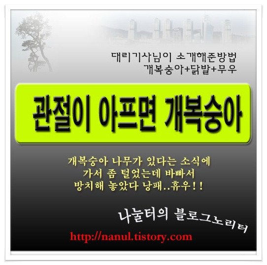 무르핀 보고 관절엔 닭발 울엄마 무릎관절에 개복숭아 대리기사님비법 포스팅 썸네일 이미지