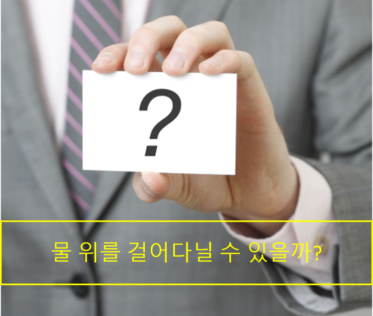 [엉뚱한 윌] '물 위를 걸을 수 있을까' 포스팅 썸네일 이미지