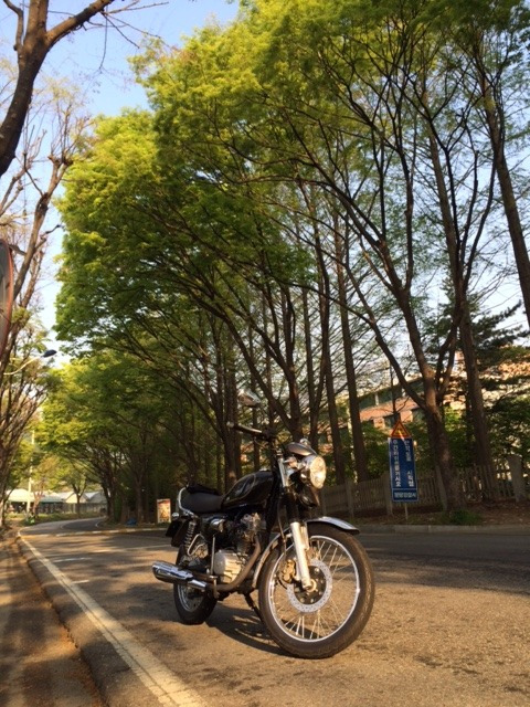 SYM 울프 클래식 엔진오일 교환, 아집 Agip i-ride 10W40 50% 합성유, 안양 알투엠모터스, R2M, 바이크 정비샵 포스트 썸네일