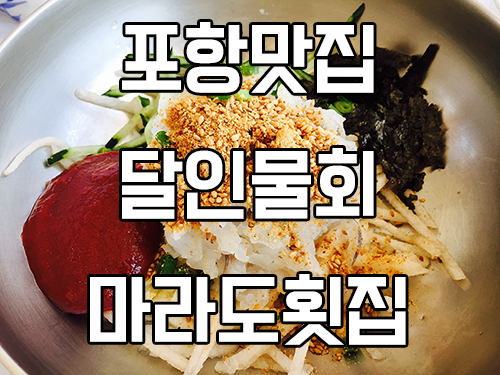 포항맛집 살얼음이 끝내주는달인물회 마라도횟집 [포항컴퓨터수리] 포스팅 썸네일 이미지