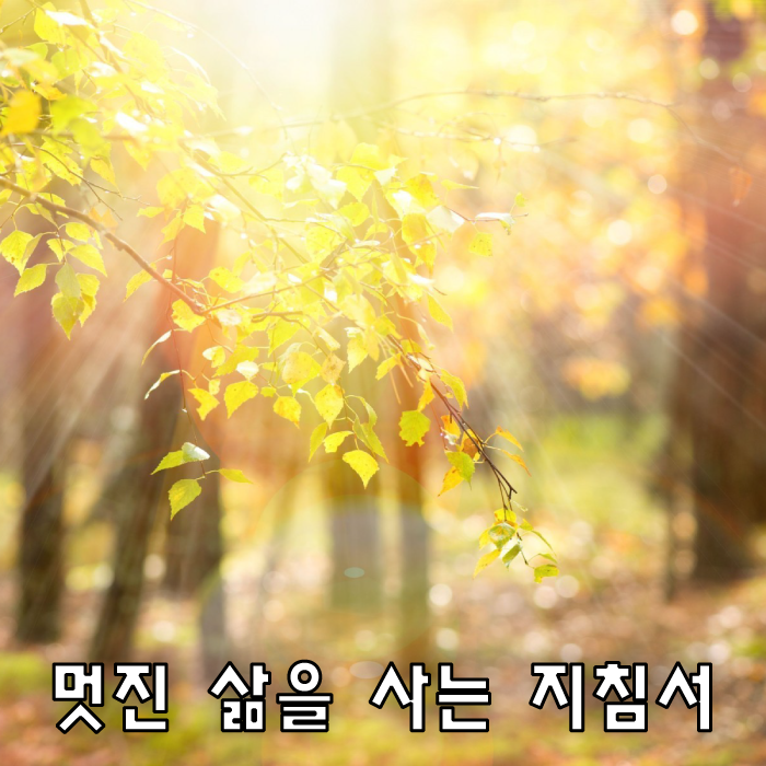 [힐링명언] 멋진 삶을 사는 지침서
