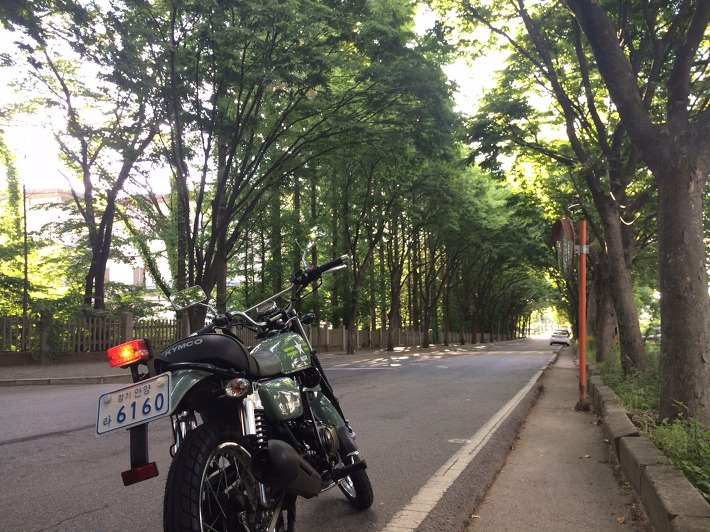 킴코 Kymco KCR125 500km 사용기, 시승기, 트래커 바이크 포스트 썸네일