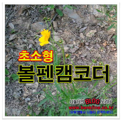 초소형 볼펜캠코더 몰래카메라 라이터카메라 관심집중 포스팅 썸네일 이미지
