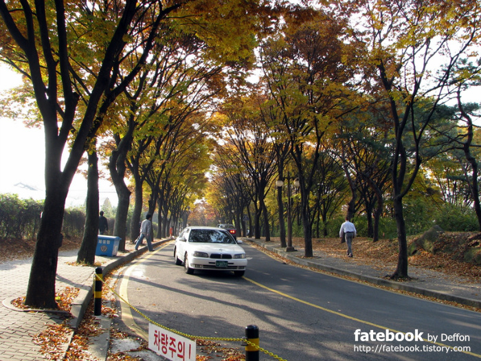 '[서울] 연세대학교 신촌캠퍼스, 2007년 11월' 포스트 대표 이미지