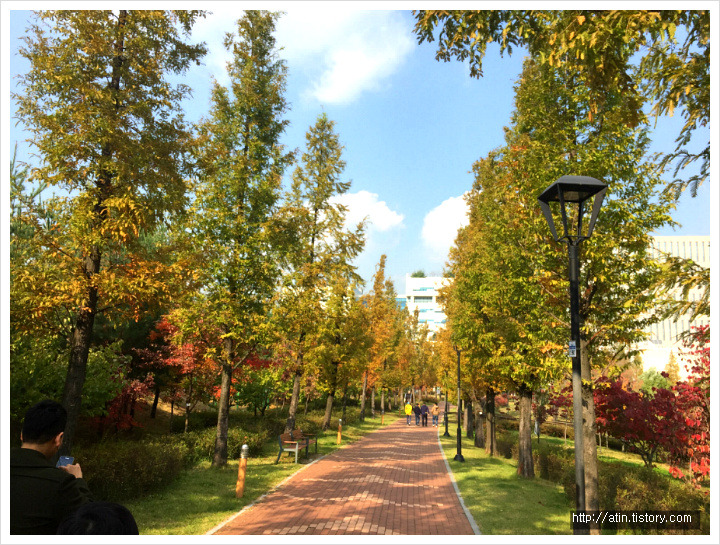 판교의 가을 2016년 11월
