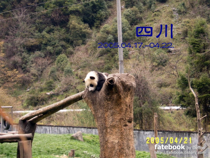 '[중국] 쓰촨성(사천성), 2005년 4월 IV' 포스트 대표 이미지