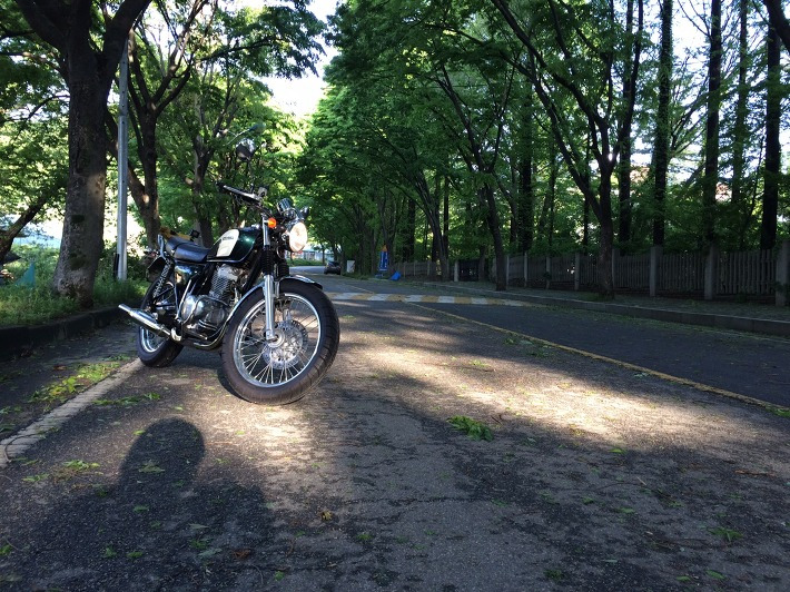 5월의 하오개로 숲터널, 빅싱글 혼다 cb400ss, 올드바이크 DH88, 일상 라이딩 포스트 썸네일