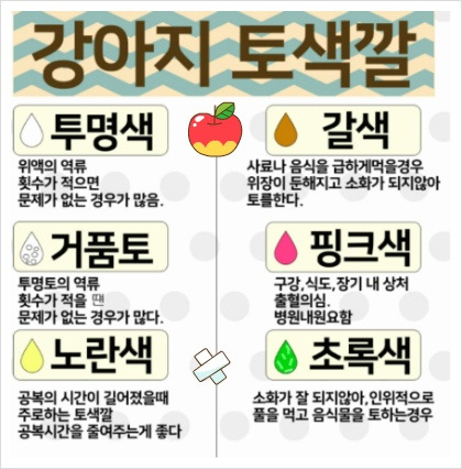 강아지 토색깔과 토하는 증상의 표지이미지