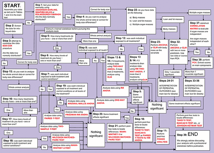 Data are correct. Statistical Analysis. Data Analysis process. Statistical Tests. Test algorithm.