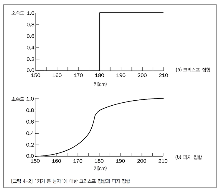 퍼지 전문가 시스템