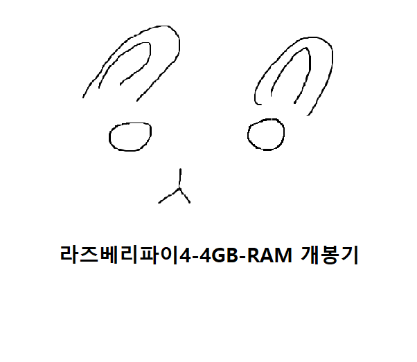 라즈베라파이4 4GB RAM 개봉기 포스트 썸네일