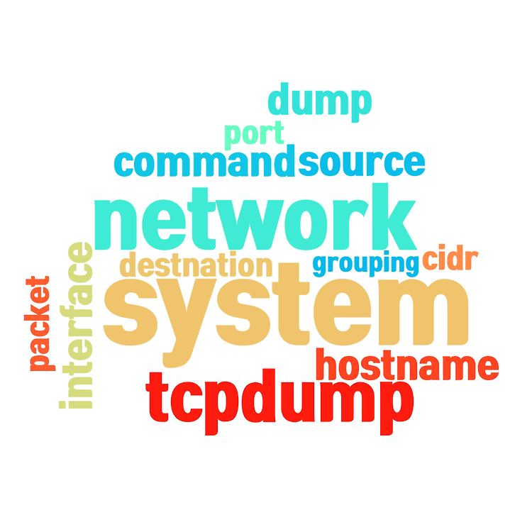 리눅스 시스템 네트워크 분석 tcpdump command