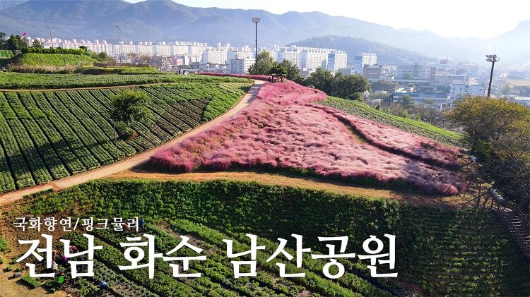 난장테레비 - 전남 화순 - 국화향연 남산공원