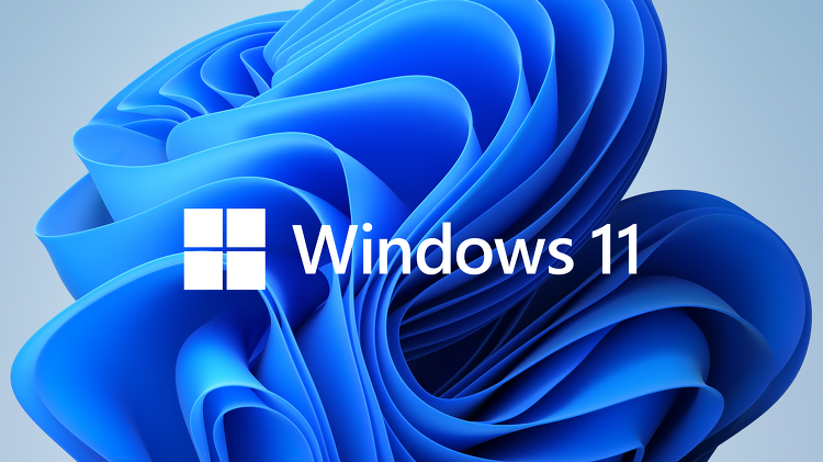 Windows 11 Insider Preview Build 22000.176 테스크바 작동 오류 해결 방법