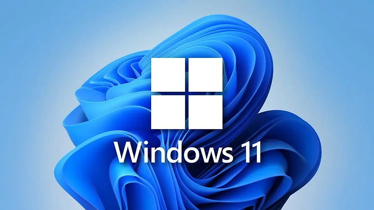 [Windows 11] 비정상적으로 느린 윈도우 업데이트 빠르게 하는 법