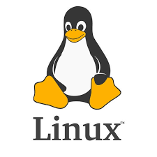 리눅스 시스템 모니터링 top command
