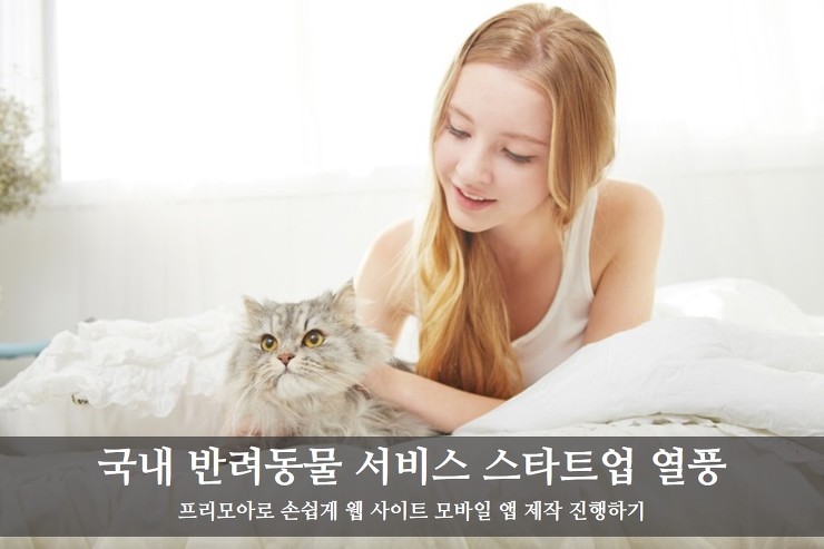 웹사이트/ 모바일 앱 프로젝트 제작 [반려동물 편] 포스팅 썸네일 이미지