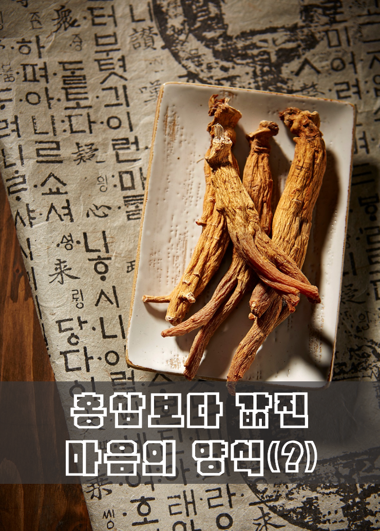 [개발] 개발자의 몸 값을 높여줄 필독 개발서 리스트 포스팅 썸네일 이미지