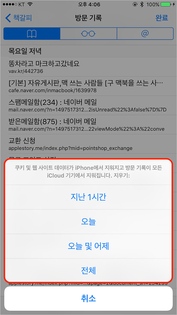 iOS 사파리에서 방문 기록 선택적으로 삭제하는 방법