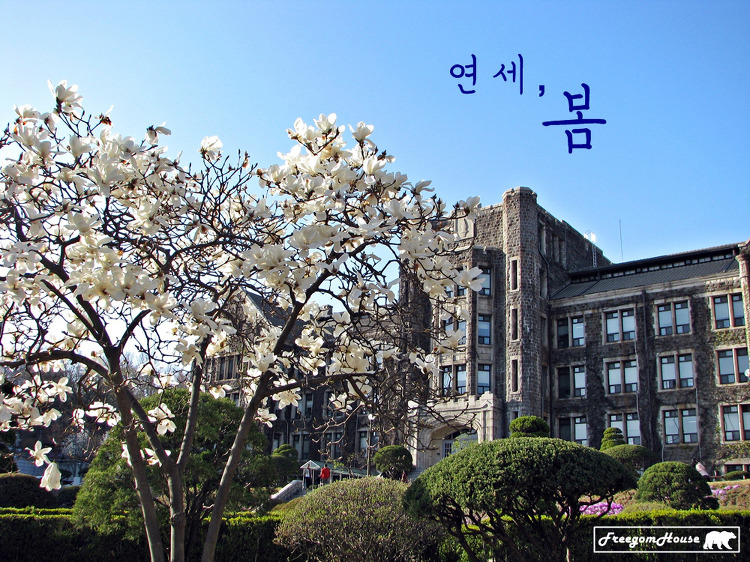 '[서울] 연세대학교 신촌캠퍼스, 2011년 4월' 포스트 대표 이미지