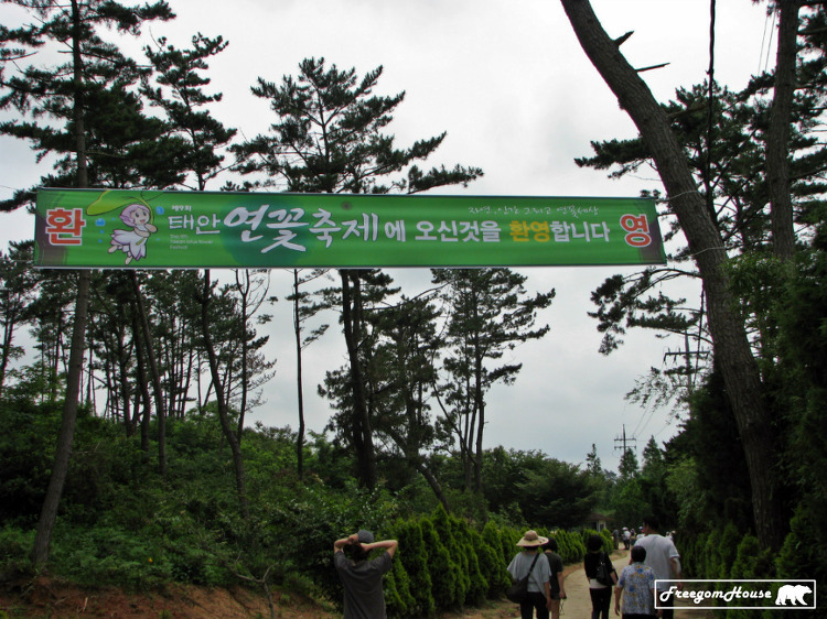 '[태안] 청산수목원(그린리치팜), 2011년 7월' 포스트 대표 이미지