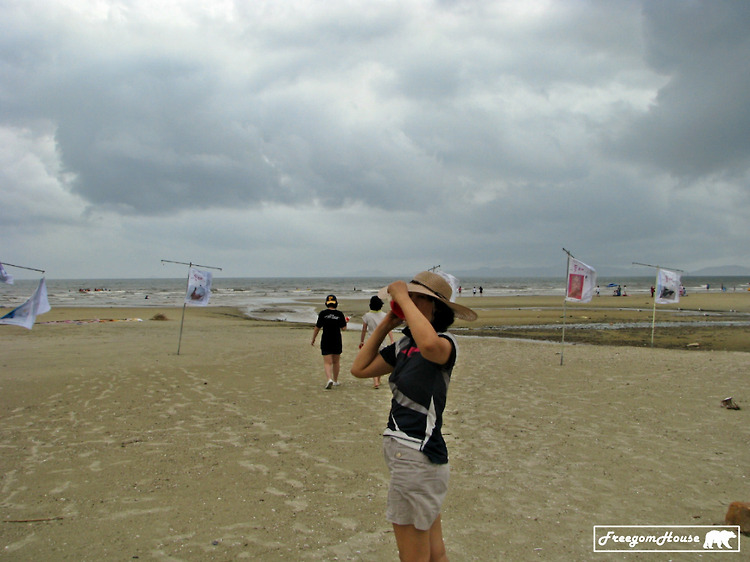 '[태안] 청포대해변, 2011년 7월' 포스트 대표 이미지