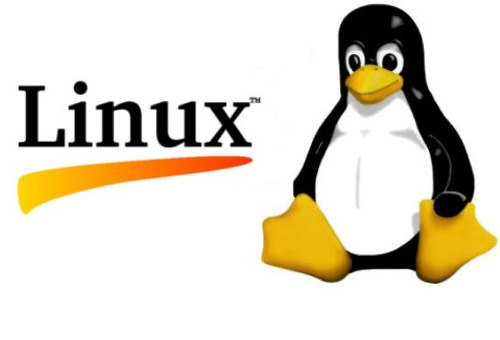 [Linux] find 로 파일 검색하기