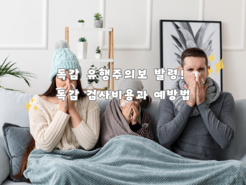 독감 유행주의보 발령! 검사비용과 예방 꿀팁 총정리