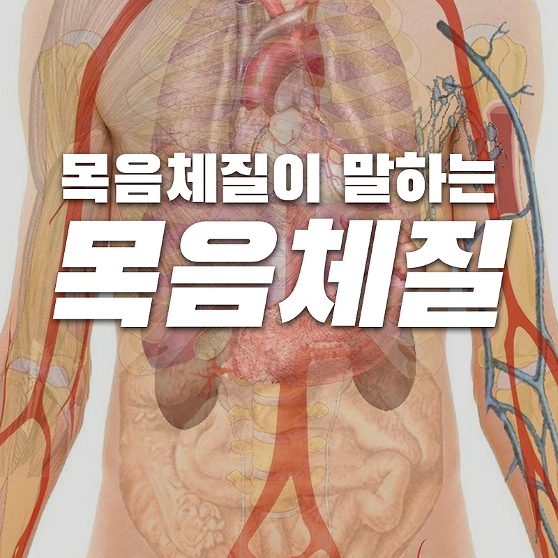 목음인이 말하는 목음체질 꿀팁