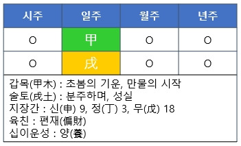 [사주명리] 갑술일주(甲戌日柱)