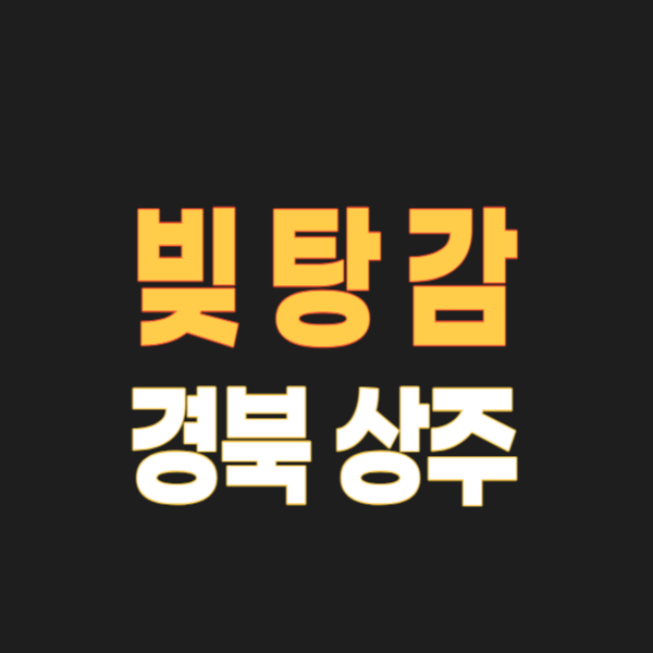 상주 개인회생 파산 잘하는 곳 어디? 무료상담 변호사/법무사 고르는 법(기각 시 100% 환불)