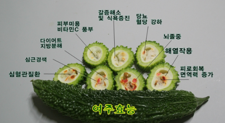 여주분말 효능과 여주먹는법 추천 8