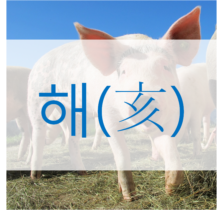 해(亥), 해수란?