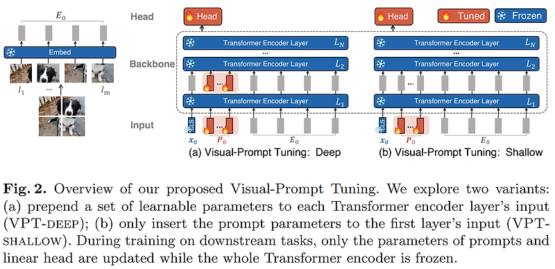 [Paper Review] Visual Prompt Tuning, ECCV 2022 논문 리뷰
