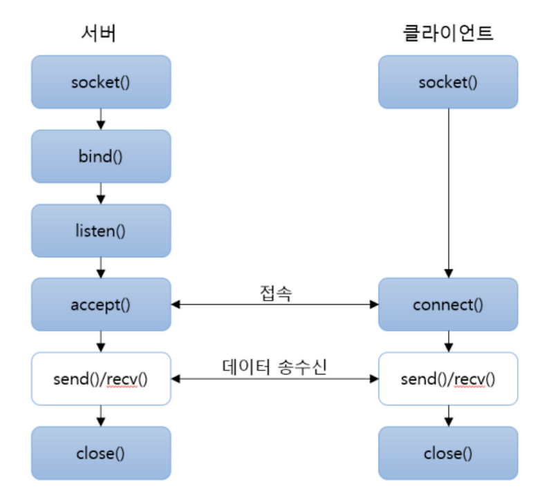 [python] 서버를 만들어보자(1) echo-server