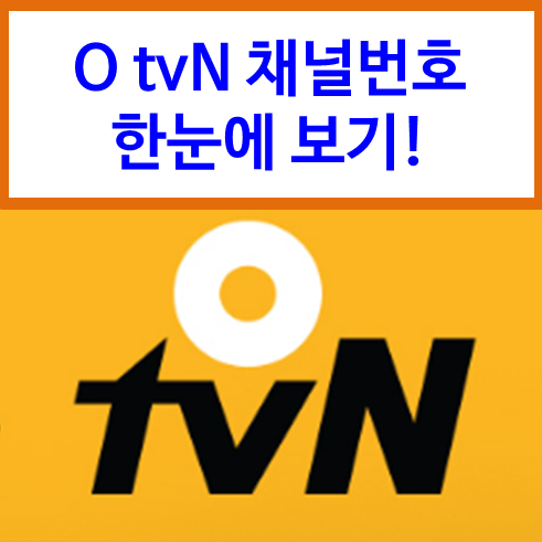 O tvN 채널번호 한눈에 보기