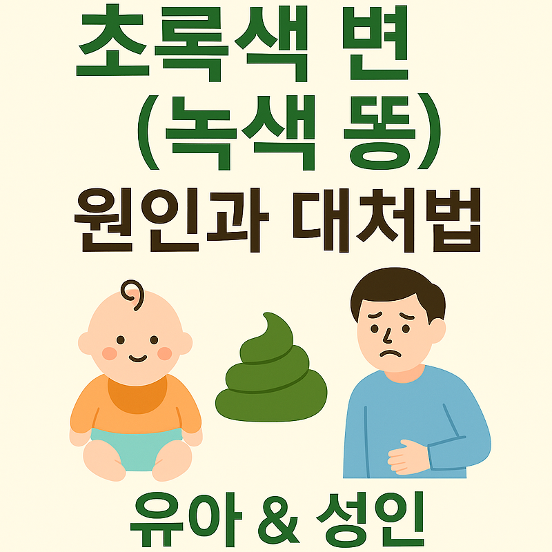 초록색 변(녹색 똥)이 나오는 이유와 대처법 – 유아와 성인 모두 꼭 알아야 할 건강 신호