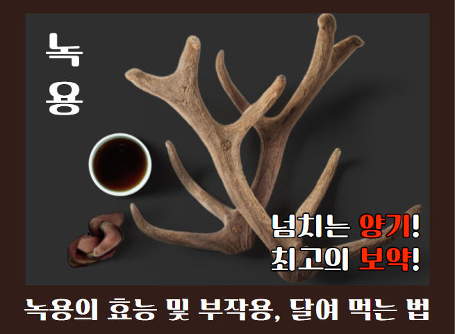 녹용효능 녹용 먹는법 부작용 확인방법