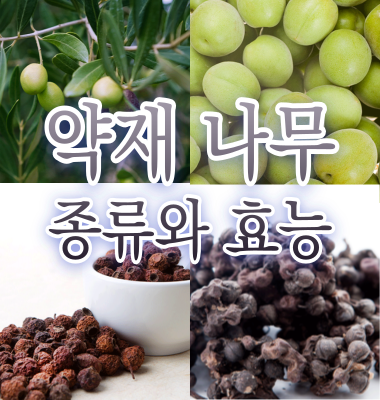 약재 나무 종류와 효능