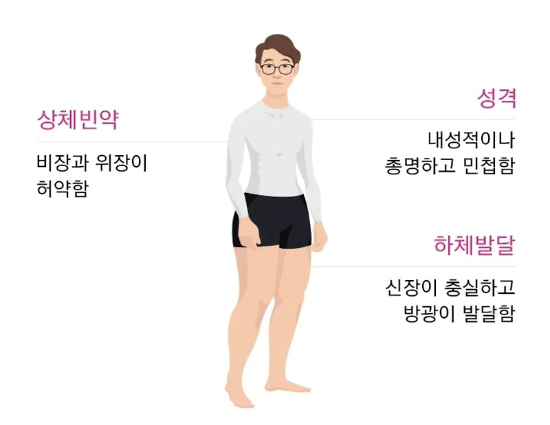 남자 소음인, 여자 소음인 특징