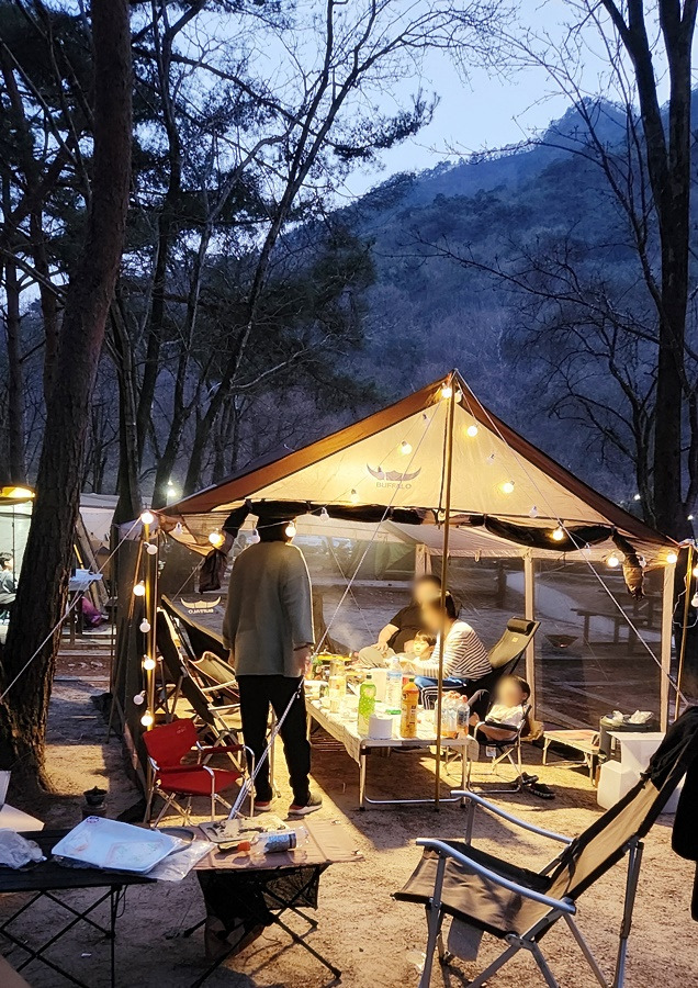 [캠핑] 닷돈재 4색 야영장 벚꽃 식도락 캠핑!(4월 첫주)