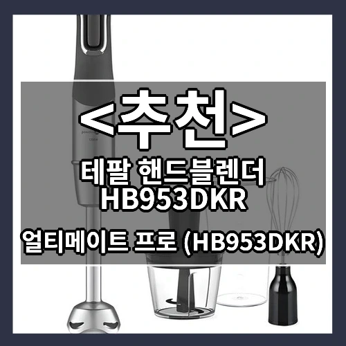 테팔 핸드블렌더 HB953DKR 추천