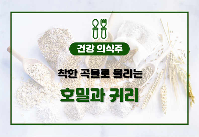 착한 곡물, 호밀과 귀리! 풍부한 영양소와 효능