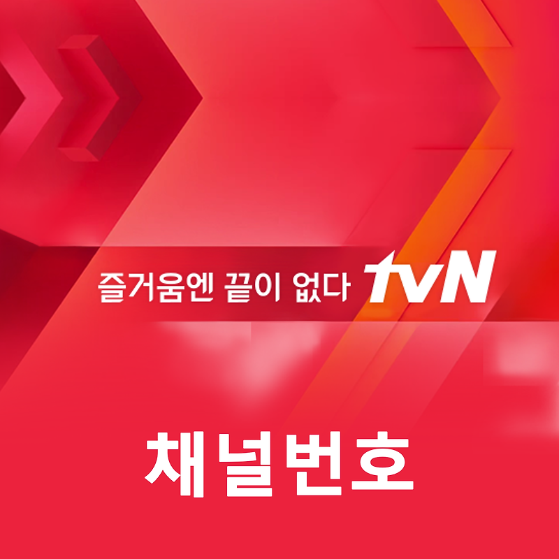 tvN 채널번호 안내 │TVING