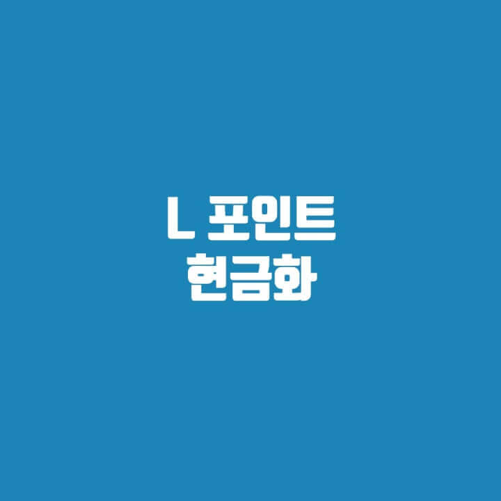 엘포인트 현금화 방법(제휴사 포인트로 전환, 적금)